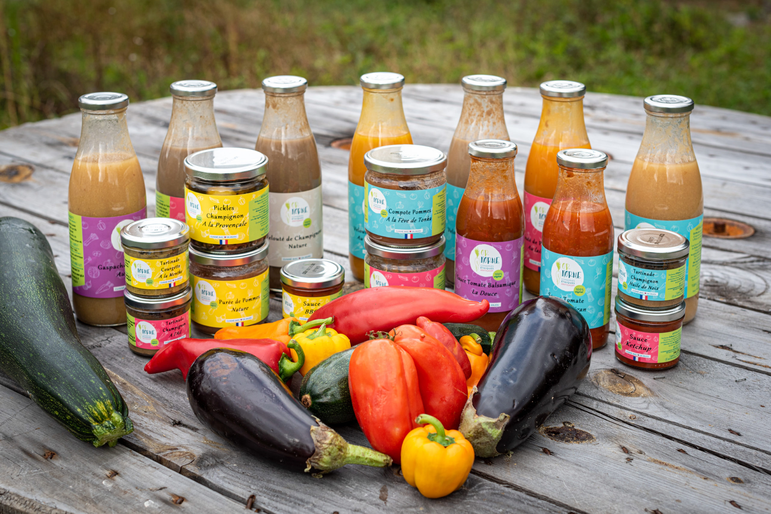 OR NORME DSC3781 scaled