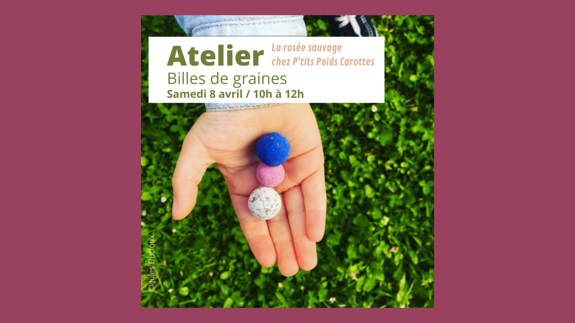 Animation Bombes à graines