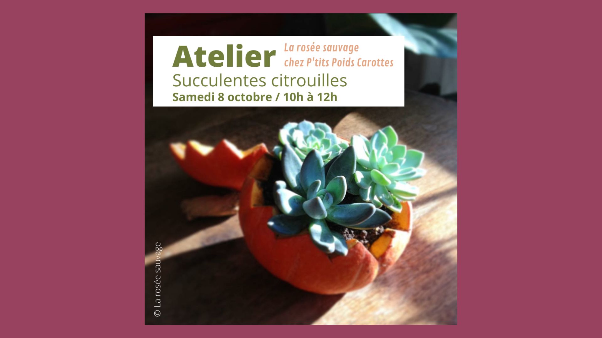 Atelier Octobre la Rosée Sauvage