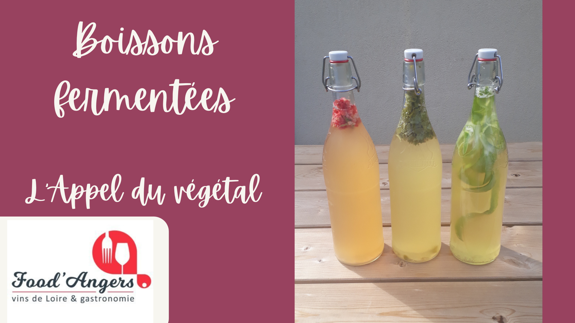 Boissons fermentées l'Appel du Végétal