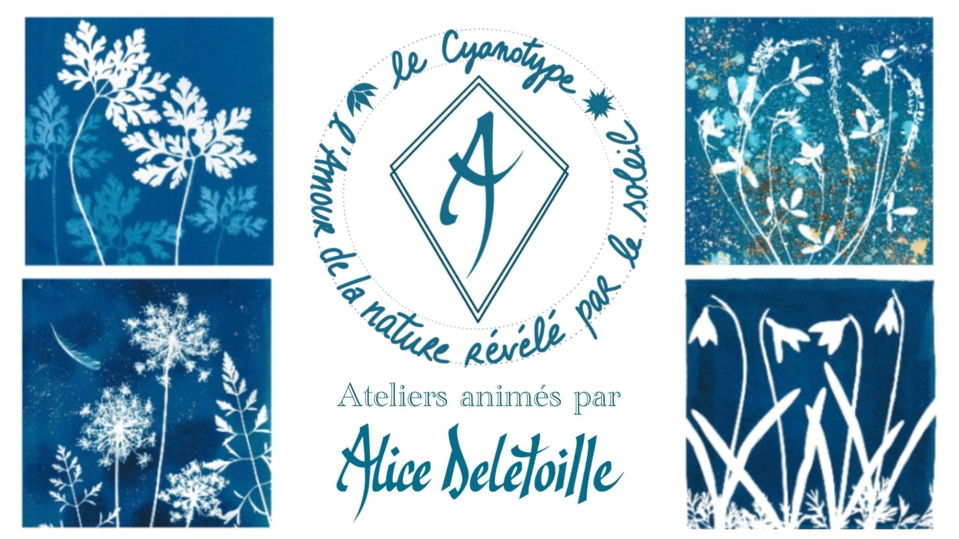 Impression au Cyanotype 1 Atelier cyanotype